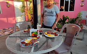 Guest House Nena